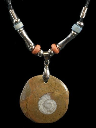 Polished Goniatite Fossil Necklace #43095